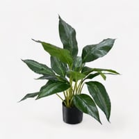 شتلة اخضر صناعي 70 سم