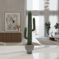 شجرة صبار مع مركن طول 73 سم