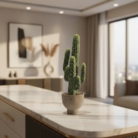 شجرة صبار مع مركن طول 58 سم