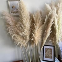 ريش طبيعي طويل