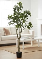 شجرة باتشيرا صناعي 160 سم