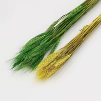 سنابل زينة 2 لون