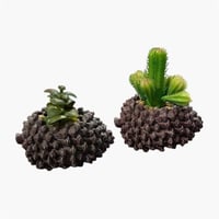 شتله صناعي مع المركن