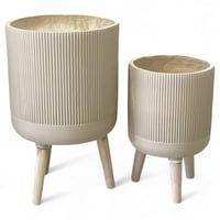 مركن شجرة جبس