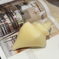 شمعة ديكور بشكل صدفة بحرية بإضاءة تعمل بالبطارية