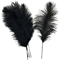 ريش نعام 40 سم لون أسود