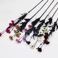 ورد زينة 6 ألوان