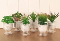 مزهرية خضار منسق