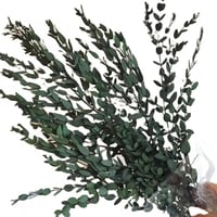 ورق زينة طبيعي مجفف لتنسيق الفازات والديكور الداخل...