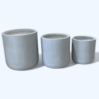 مركن شجرة جبس