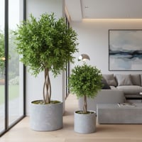 مركن شجرة جبس مقاسين