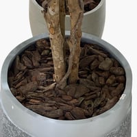 لحاء خشب الصنوبر طبيعي لتزيين أحواض الزرع 1 كغ