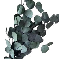 ورق زينة طبيعي مجفف لتنسيق الفازات والديكور الداخل...