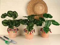 مزهرية خضار منسق