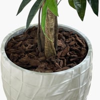 لحاء خشب الصنوبر طبيعي لتزيين أحواض الزرع 1 كغ