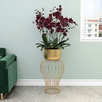 مركن حديد ذهبي