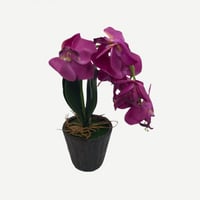 مزهرية مع المركن