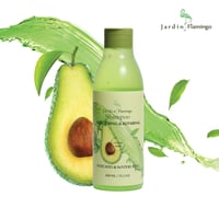 الشامبو الطبيعي من جاردن فلامنجو 450 مل