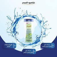 كويت شوب شامبو السدر -450 مل