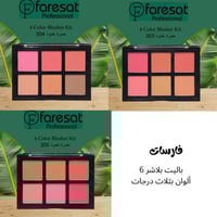 فارسات باليت بلاشر 6 ألوان يأتي بثلاث درجات