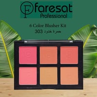 فارسات باليت بلاشر 6 ألوان يأتي بثلاث درجات