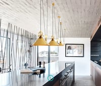 وحدة إضاءة معلقة Newton