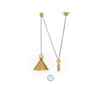 وحدة إضاءة معلقة Newton