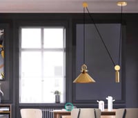 وحدة إضاءة معلقة Newton