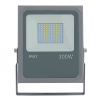 300 Watt - 24,000 Lumens