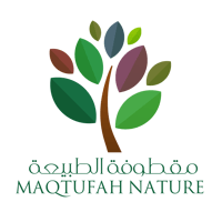 store avatar