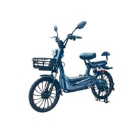 سكوتر كهربائي لراكبين 48 فولت مع سلة وبدال