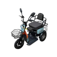 سكوتر كهربائي ثلاث عجلات 48 فولت