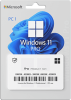 ويندوز 11 برو