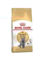 رويال كانين بريتش شورت هير طعام جاف للقطط 2 Kg