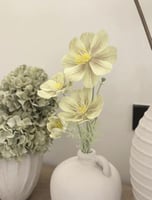 زهرة الخشخاش