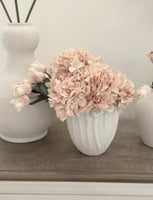 غصن هيدرنجا