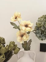 زهرة الخشخاش