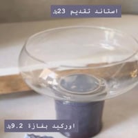 استاند تقديم