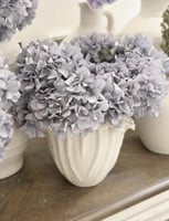 غصن هيدرنجا