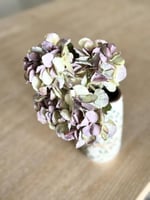 ورد هايدرينجا صغير