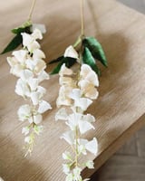 غصن ورد جرس