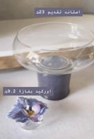 استاند تقديم