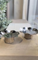 استاند تقديم