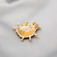 بروش (دبوس) خنفساء