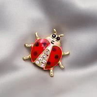 بروش (دبوس) خنفساء