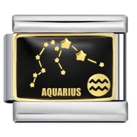 تشارم فضي أبراج أسود