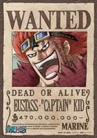 WANTED - A4 (13)