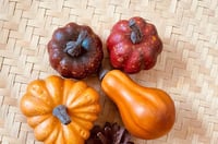 ديكور اليقطين حبه واحده