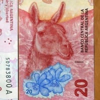 الارجنتين فئة 20 بيزو أنسر