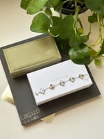 اسورة فان كليف